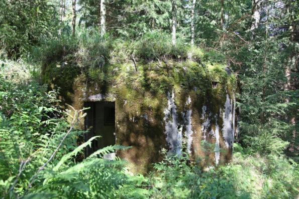 Villa Sedmikraska Horní Maršov Exterior foto